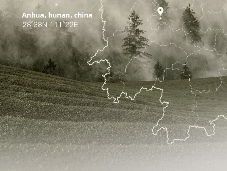 OSITREE | Gentle Cleansing Foam Wash  for Sensitive Skin