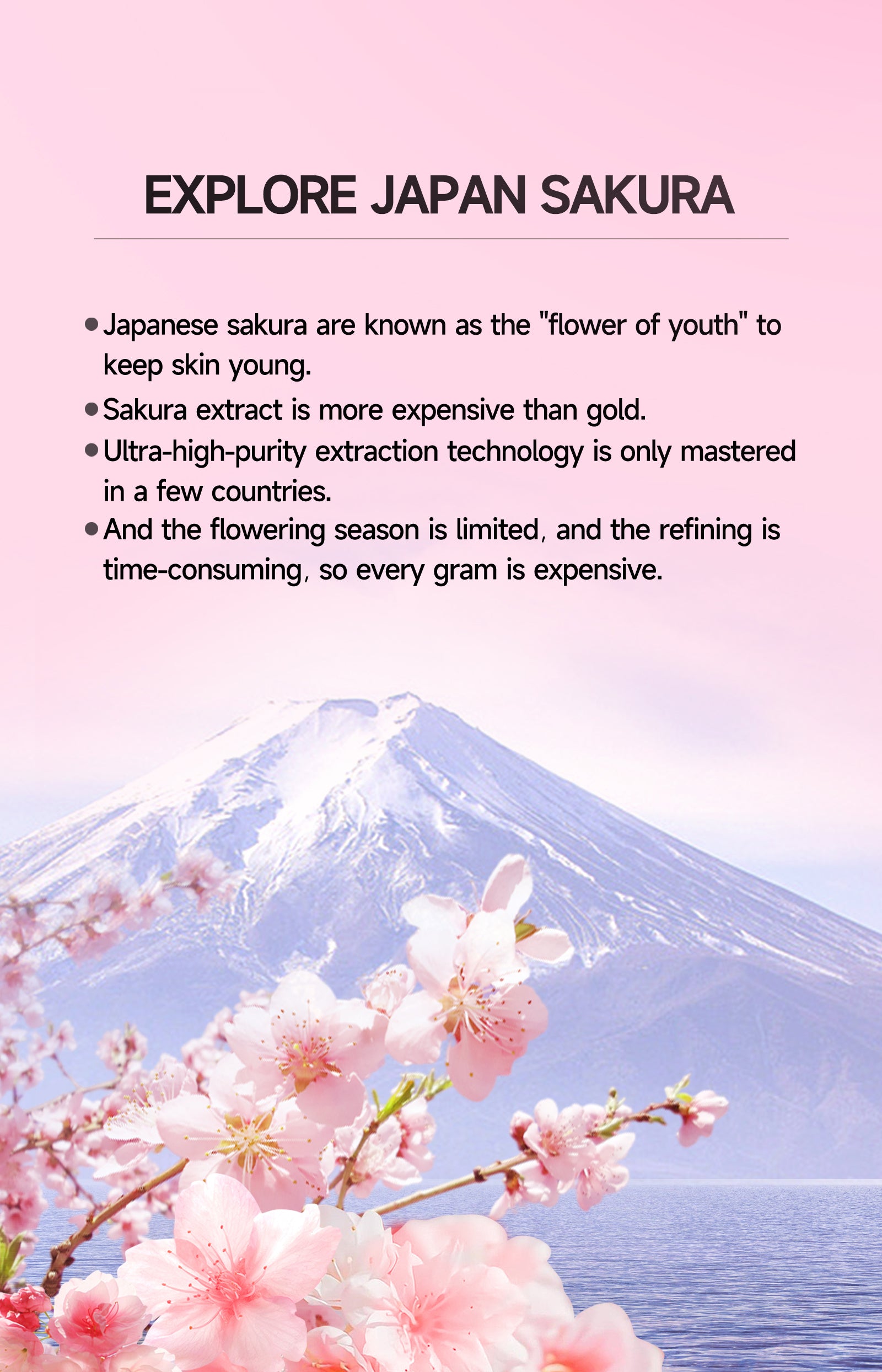 GMEELAN Sakura Underarm Whitening Cream Glutathione 30g 5X Ceramide Body Lotion Pearl Moisturizer